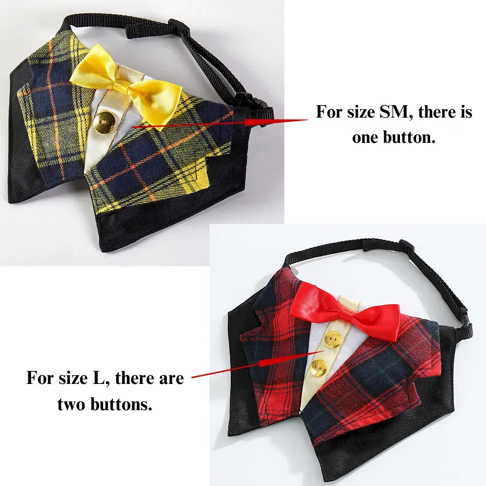 Functional Pet Accessories