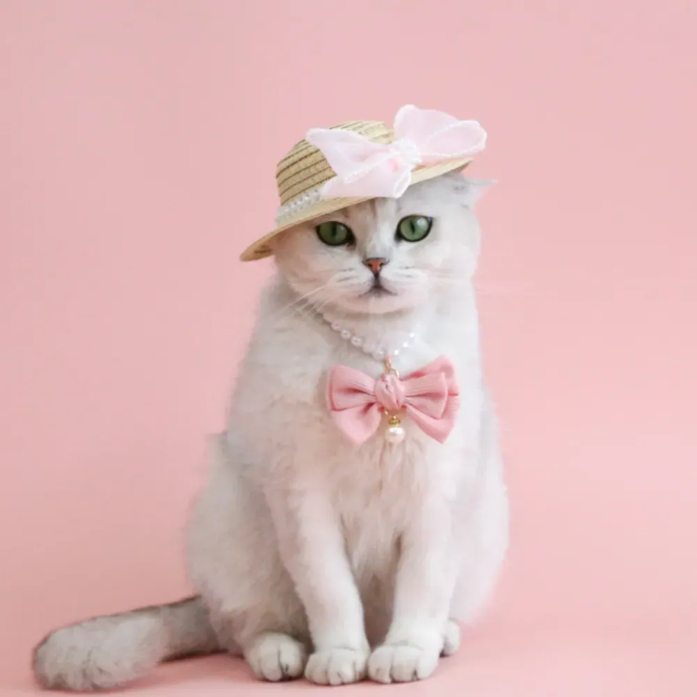 Stylish dog hat Breathable pet hat