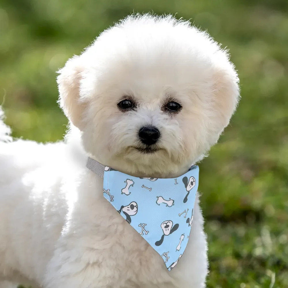Embossed Pet Scarves