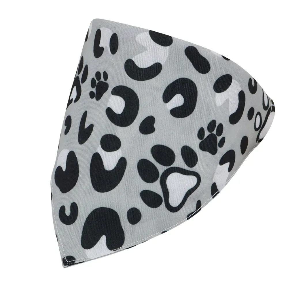 Pet Collars for Small Dogs