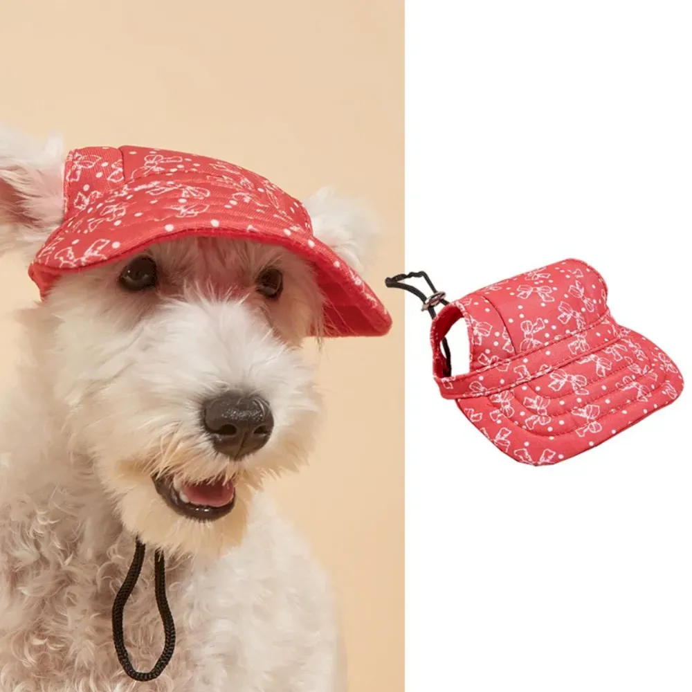 Cool dog hat