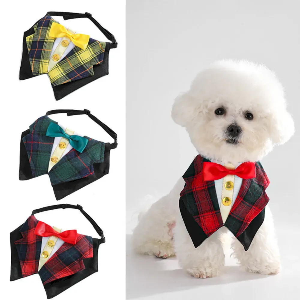 Trendy Pet Fashion