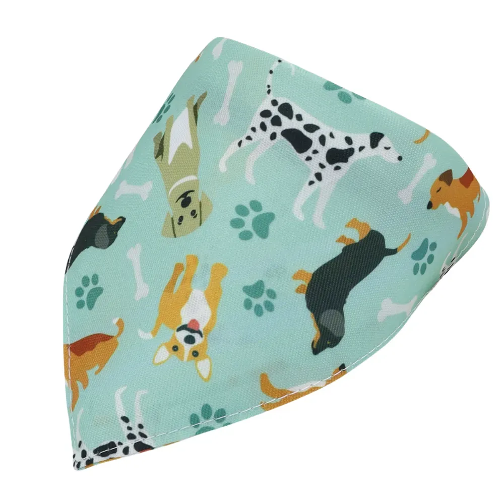 Pet Accessories for Retailers