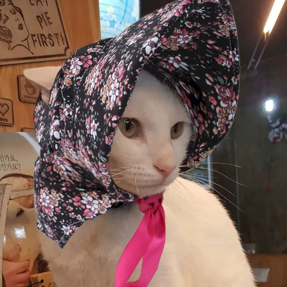 Functional Pet Accessories Unique Pet Fashion