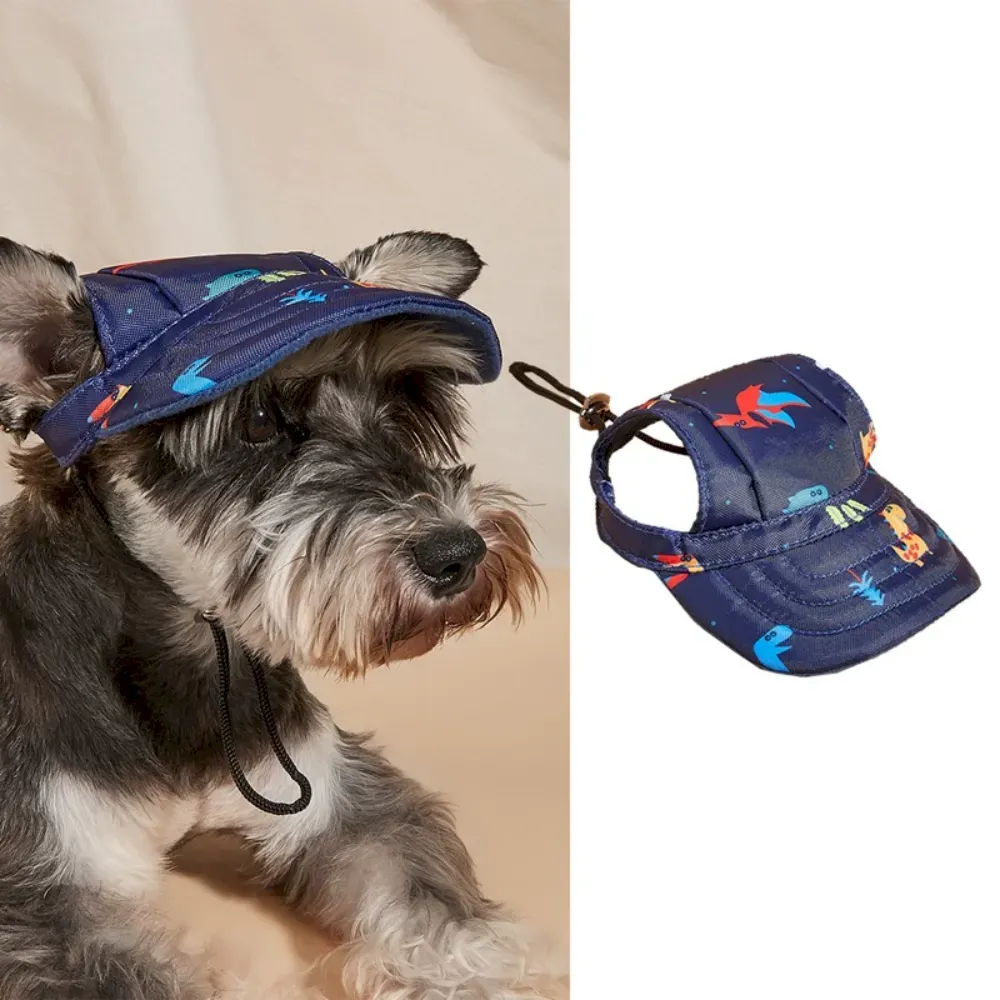 Dog summer accessories