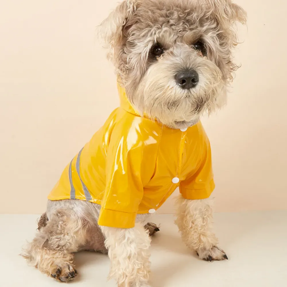 yellow PU dog raincoat