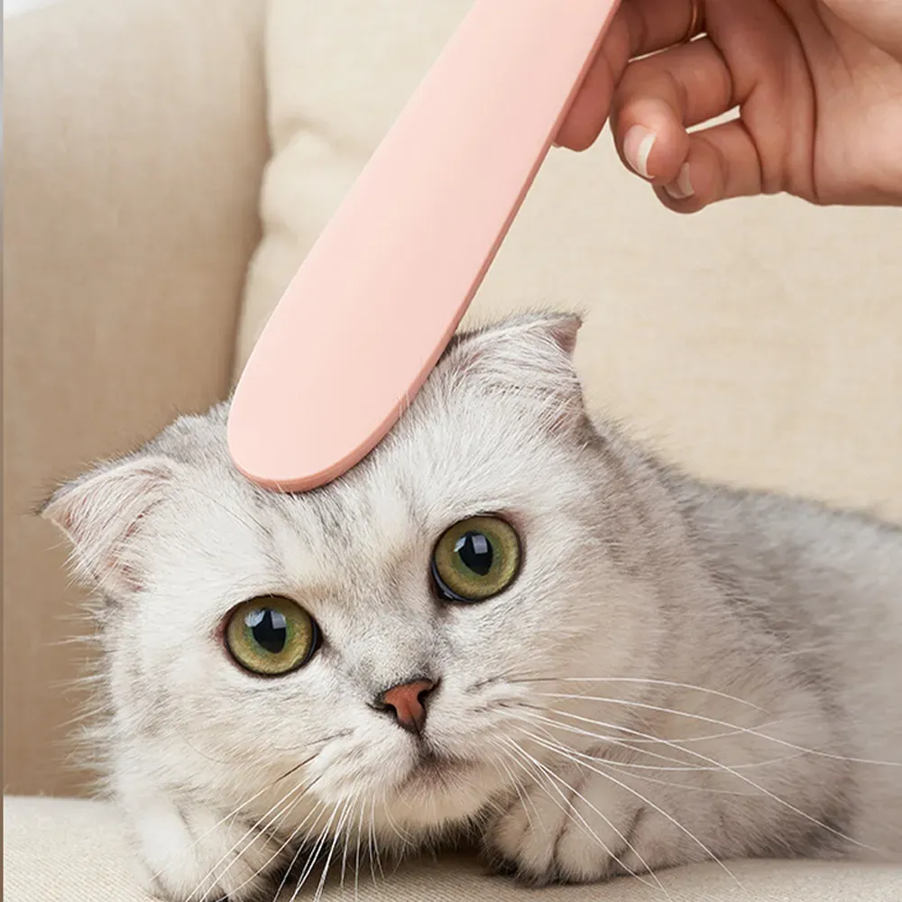 pet Grooming Massage