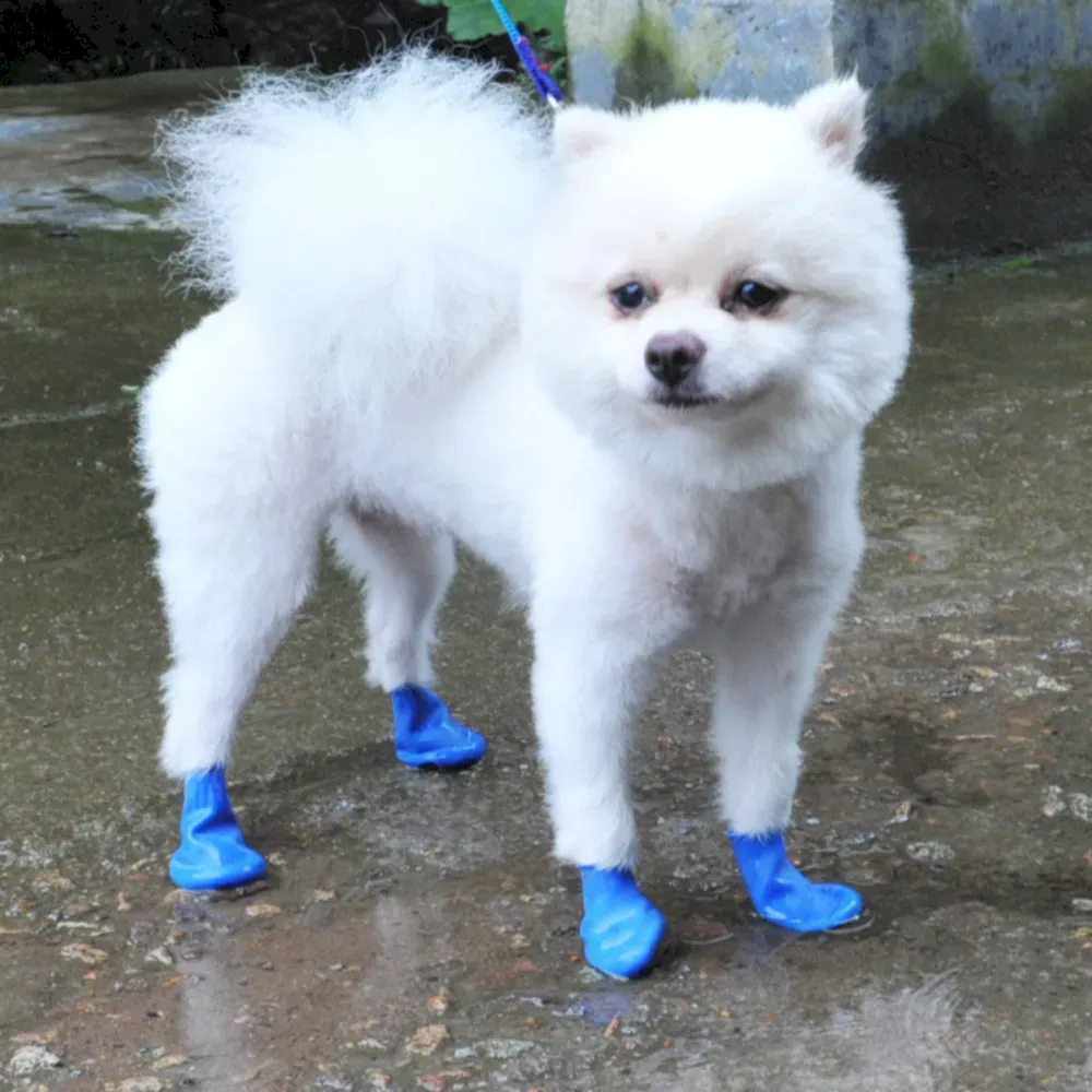 anti-slip dog rain boots