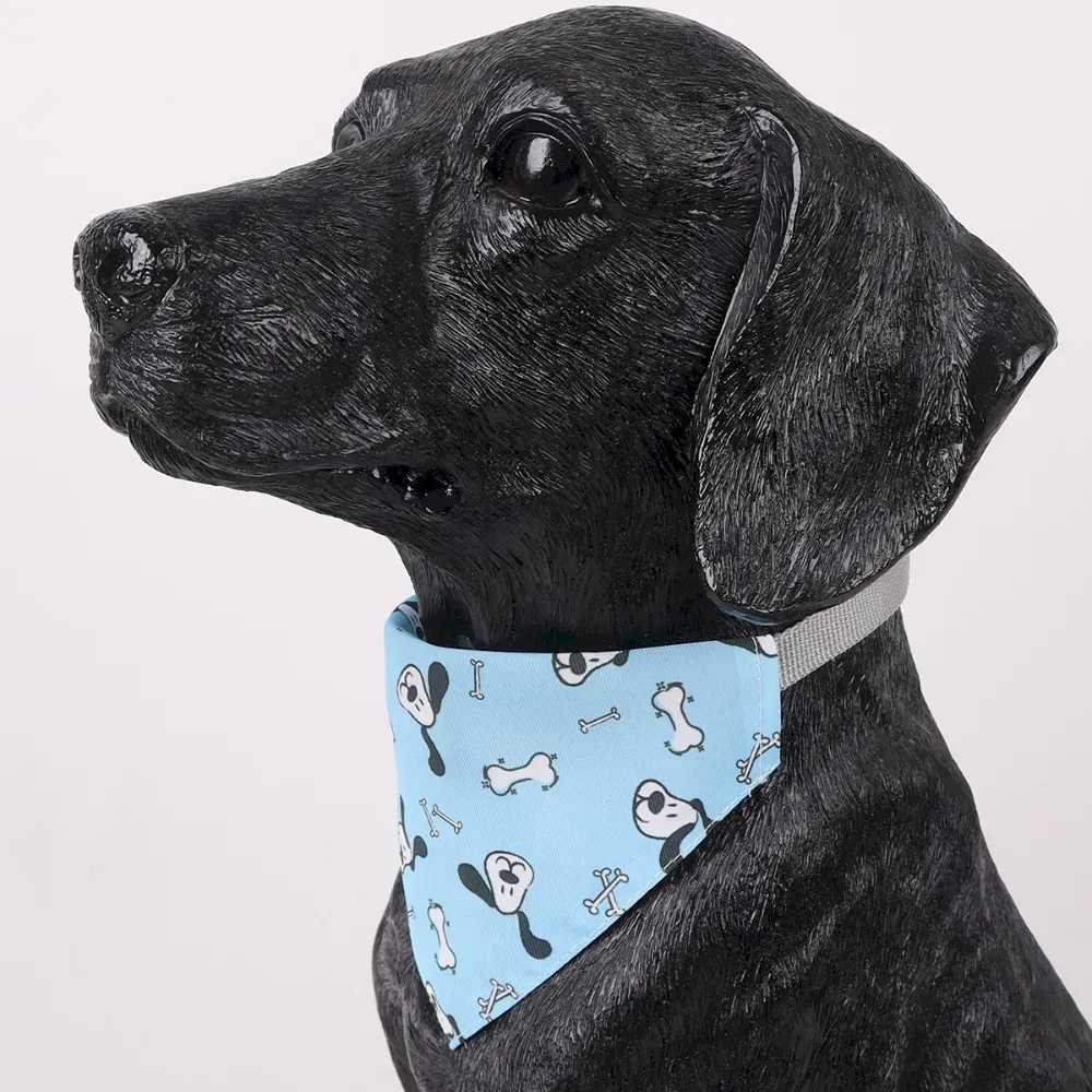 Polyester Pet Fashion