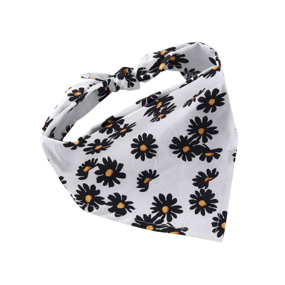 Pet Accessories for Retailers