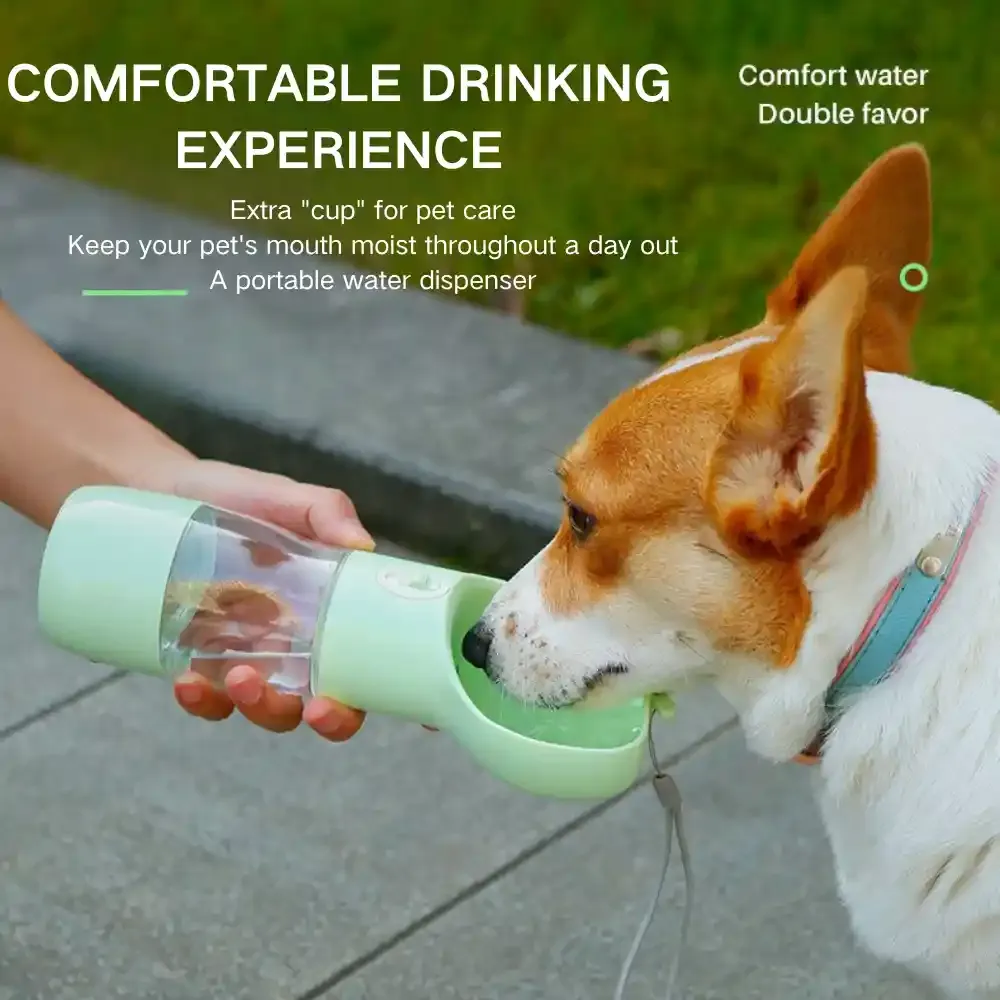 Pet Water Cups For Sale Pet Water Cups For Sale