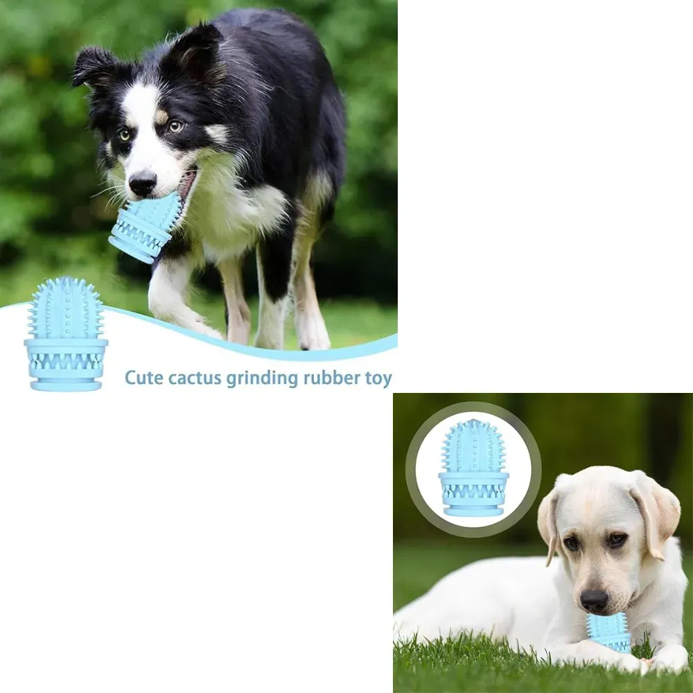 The textured surface of the succulent plant-shaped chew toy helps clean teeth, massage gums, and promote healthy chewing habits. It’s especially beneficial for teething dogs and also supports overall oral hygiene through fun and engaging play.