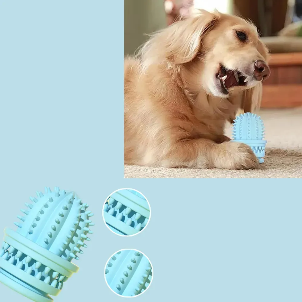 The textured surface of the succulent plant-shaped chew toy helps clean teeth, massage gums, and promote healthy chewing habits. It’s especially beneficial for teething dogs and also supports overall oral hygiene through fun and engaging play.