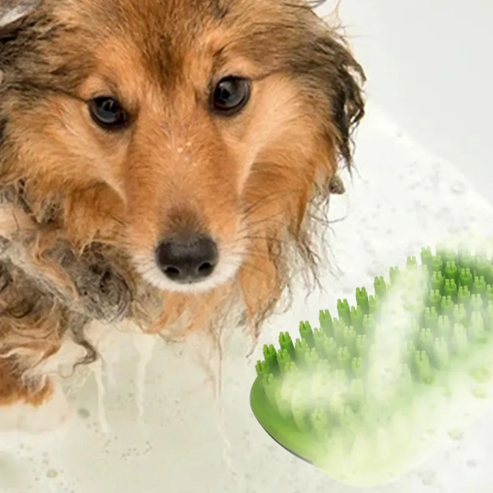 Massage Pet Brush