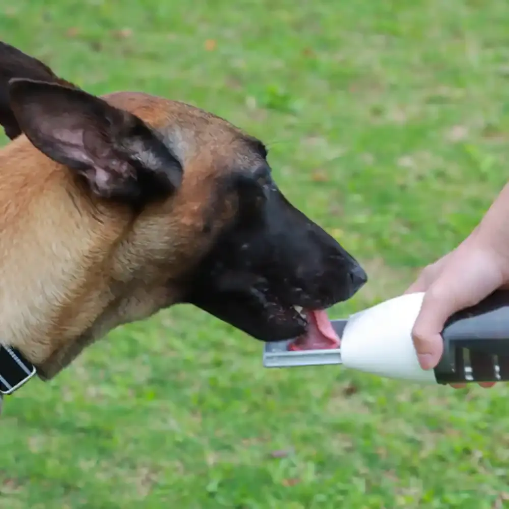 Portable Pet Water Dispenser For Sale Portable Pet Water Dispenser For Sale