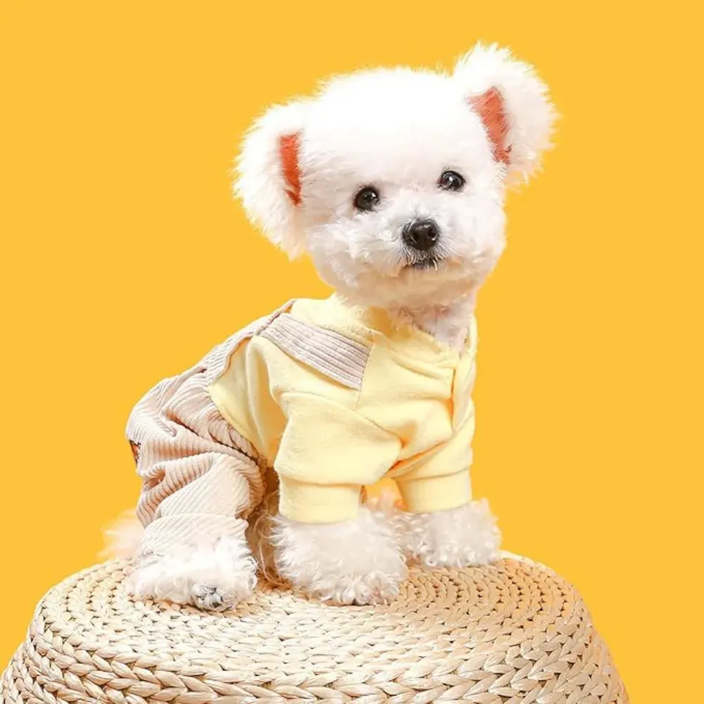dog hoodie (2) Ideal for cooler weather, this bear outfit provides an extra layer of warmth, making it a great choice for chilly mornings or winter outings. Keep your dog warm without sacrificing style or comfort.