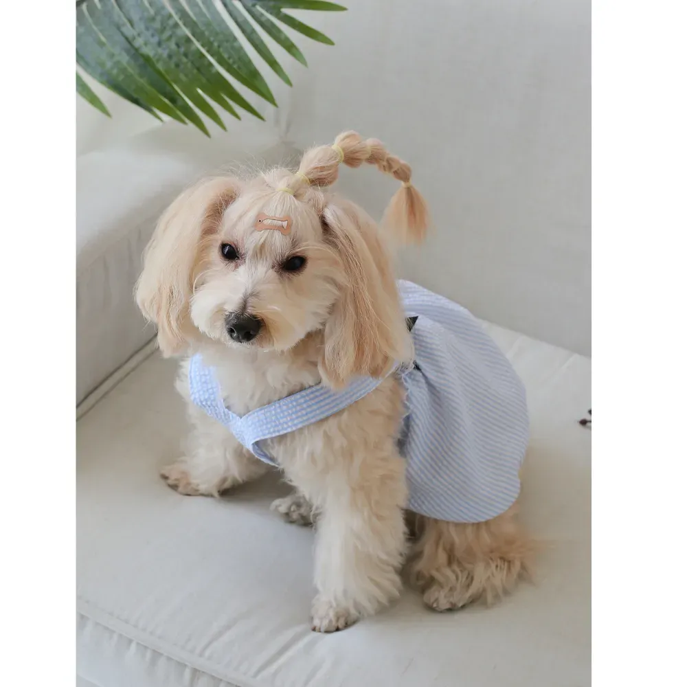 A beautifully placed bow decor enhances the overall look, creating a sophisticated and cute appearance. This stylish addition makes the dress ideal for celebrations, photoshoots, and daily wear.