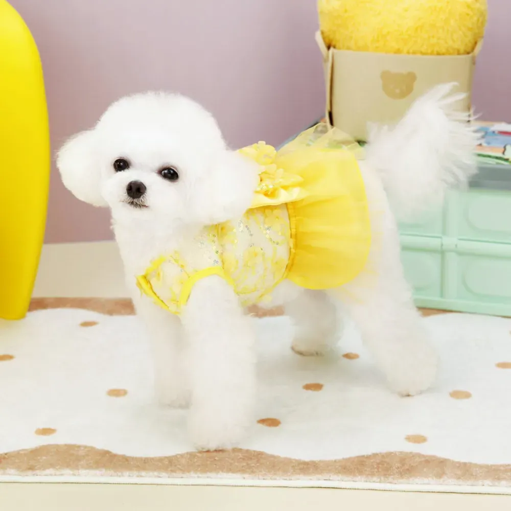Designed with a convenient D-Ring, this dress allows for easy leash attachment, combining fashion with functionality. Ideal for small to medium-sized dogs, it provides a secure and stylish walking experience.