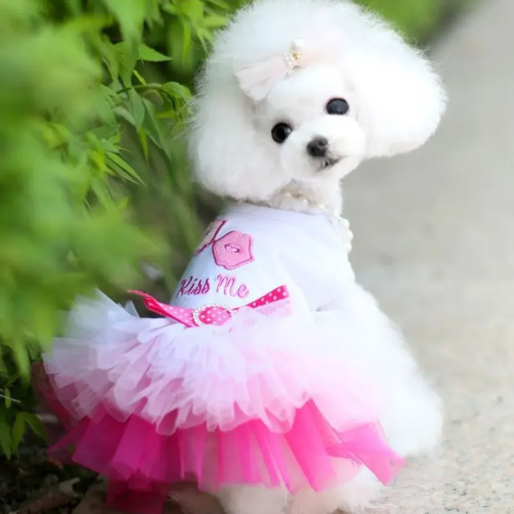 Made from breathable, high-quality fabric, ensuring comfort while keeping pets looking adorable.