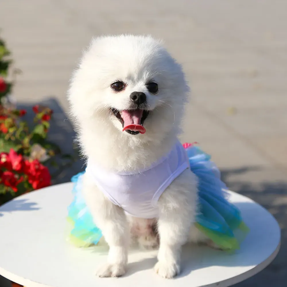 Ideal for birthdays, parties, photoshoots, and festive events, this dress is a must-have for any pet’s wardrobe.