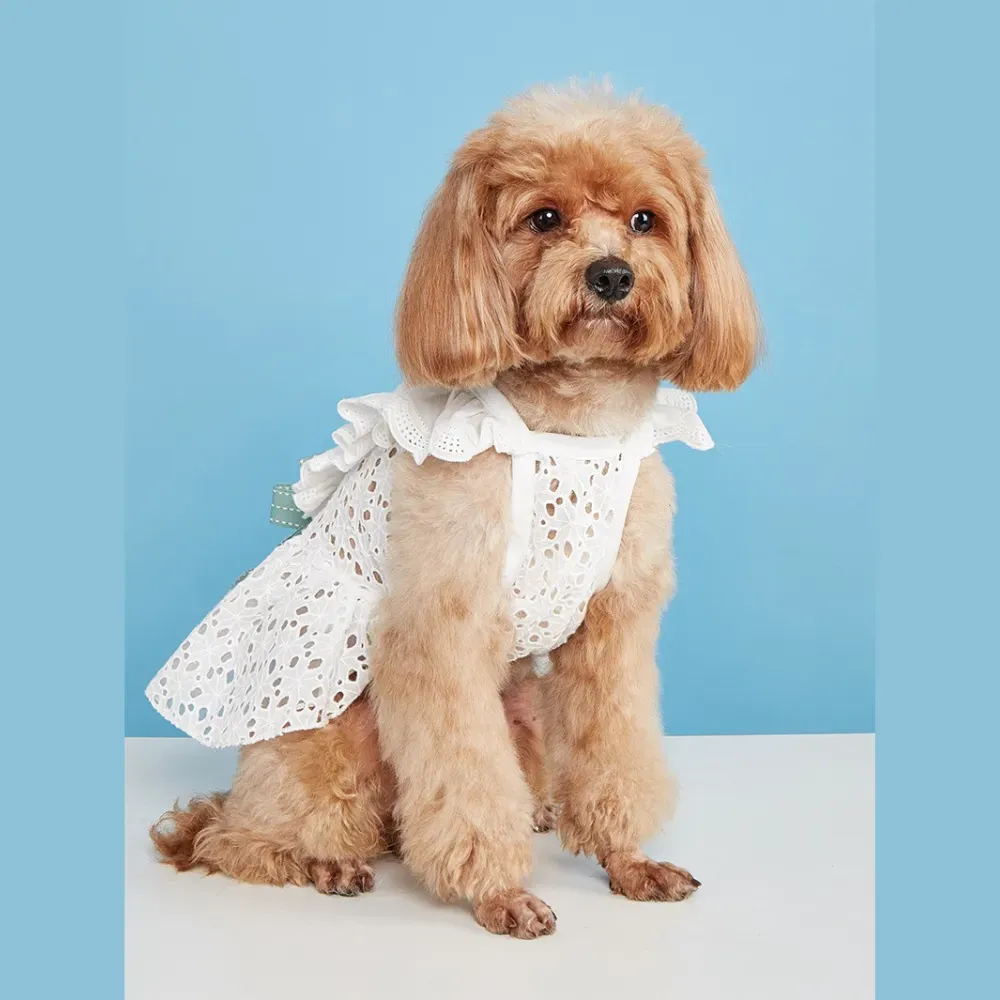 The layered skirt design adds volume and grace, making pets look stylish for special occasions.