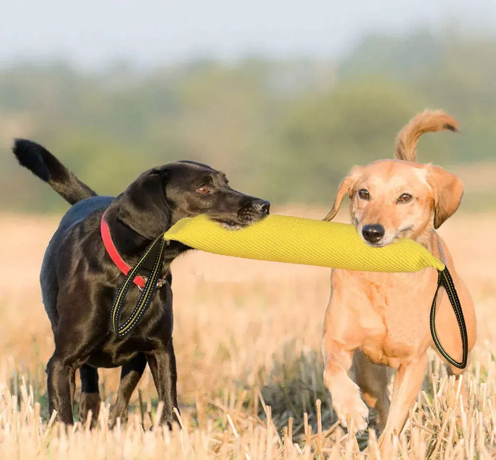 dog chew toy tug of war (2) dog chew toy tug of war wholesale
