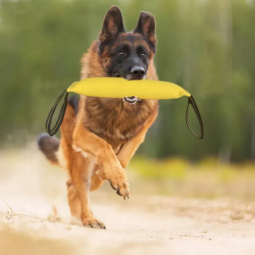 dog chew toy tug of war (3) dog chew toy tug of war wholesale