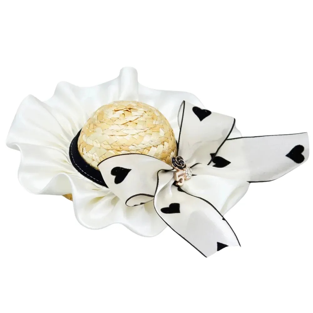 Pet photography prop Trendy pet outfit