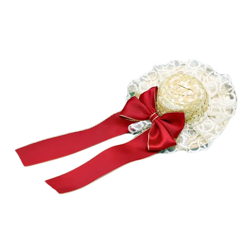 Lace-trimmed pet hat Elegant pet fashion