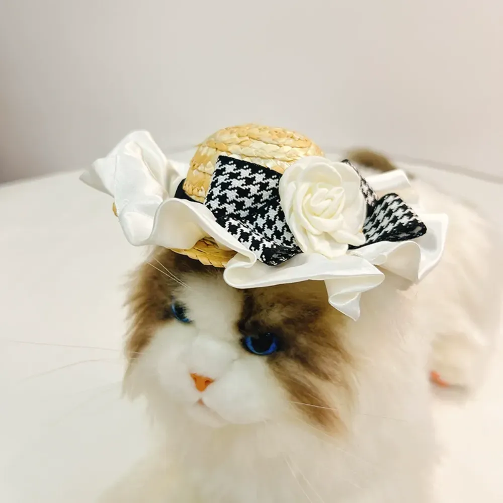 Fashionable pet hat Boutique pet accessories