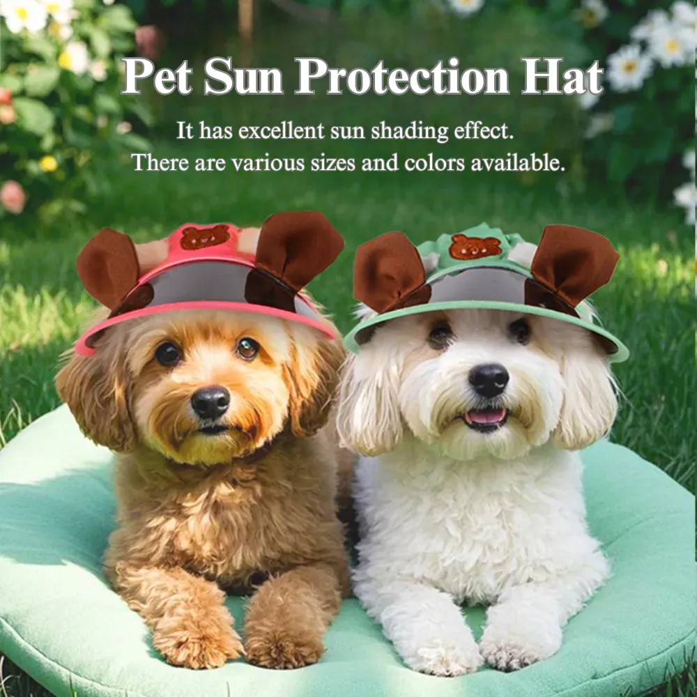 Pet protection hat