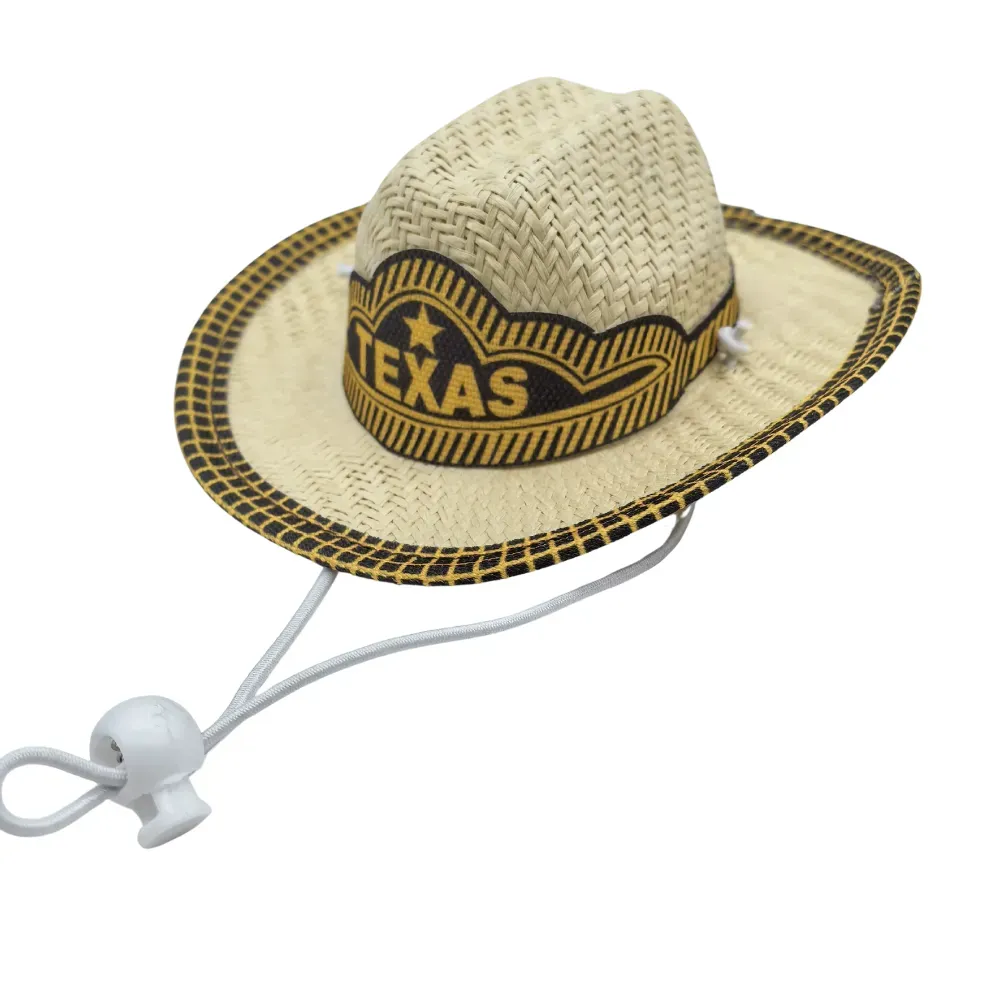 Pet beach trip accessories