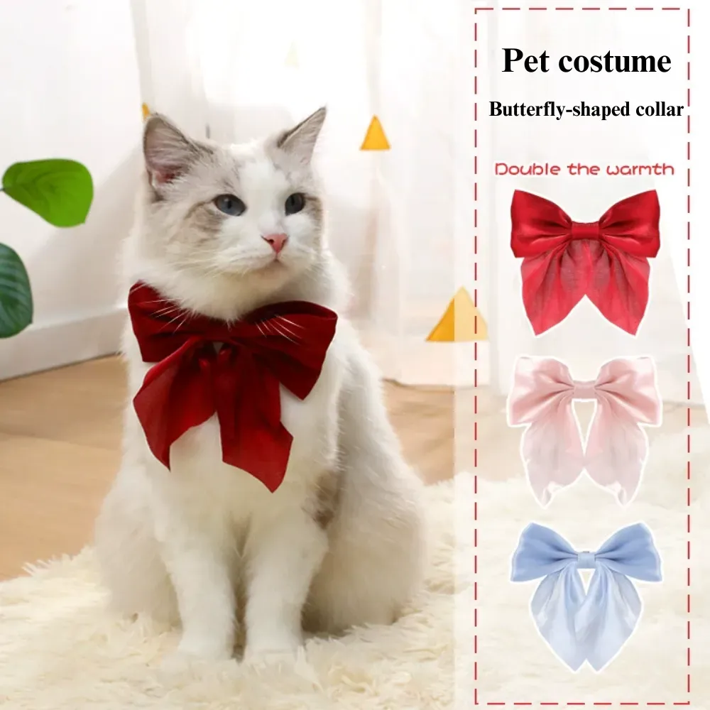 Small dog collar