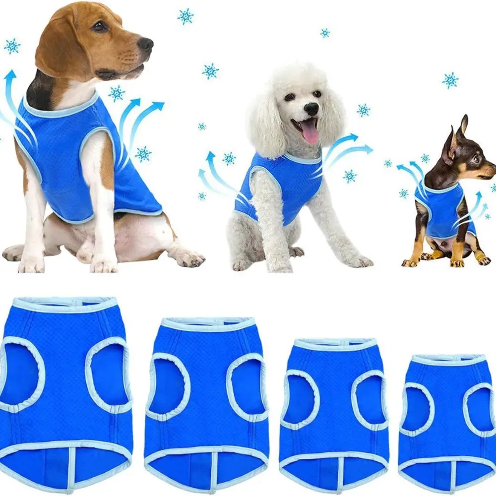 Comfortable summer pet vest