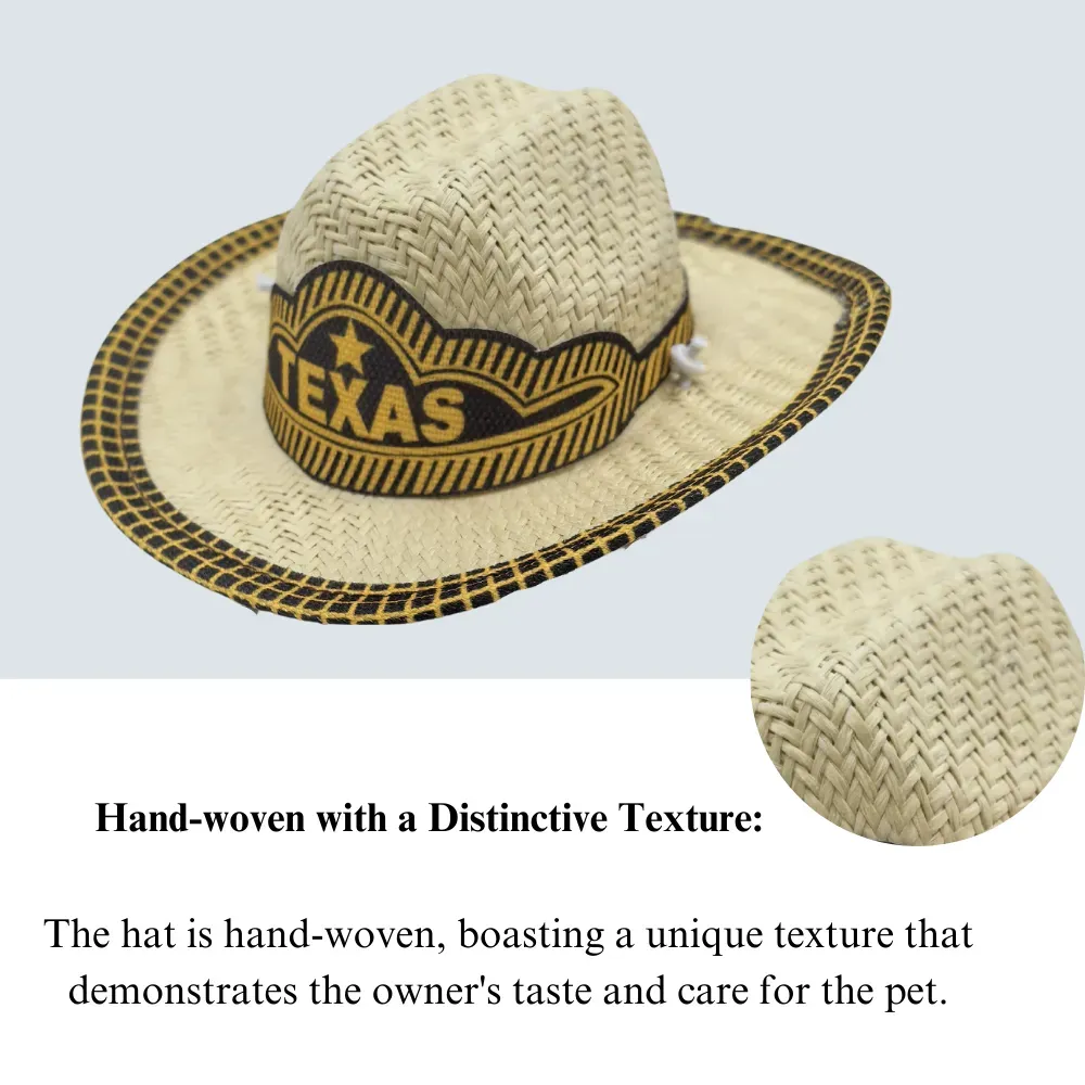 Stylish pet summer hat
