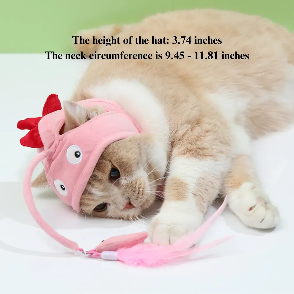 Professional cat toy