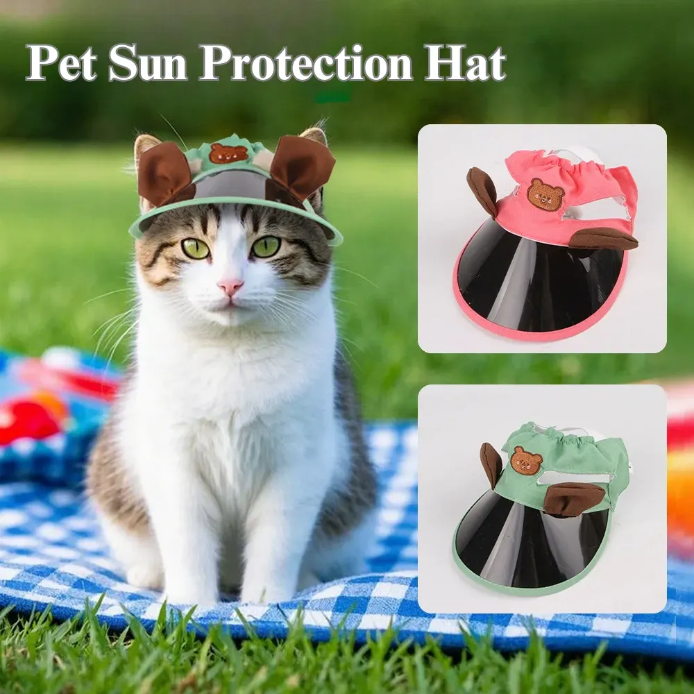 Fun pet headwear