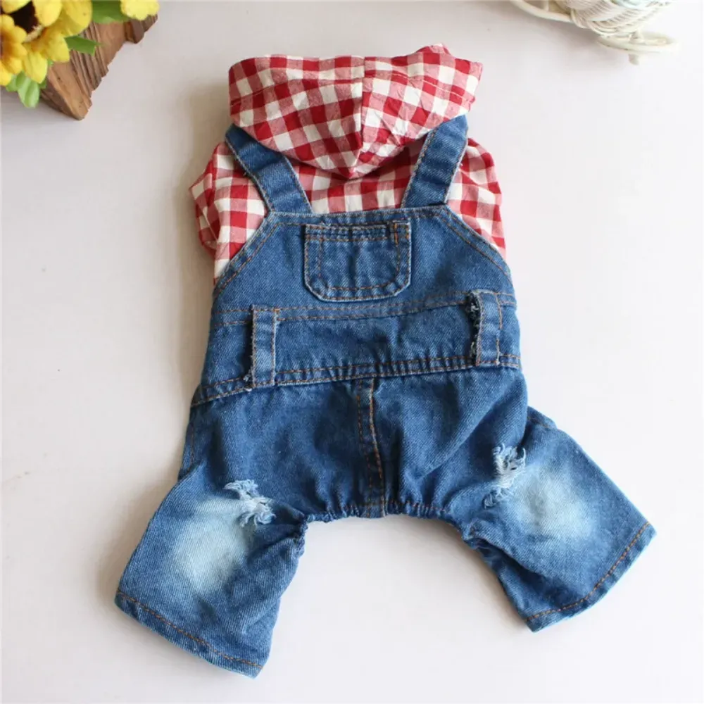 Pet outfit with pocket