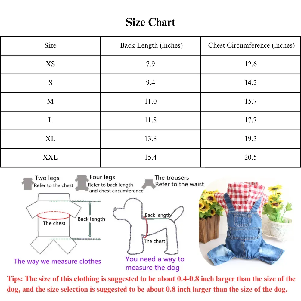 Fashionable pet jumpsuit