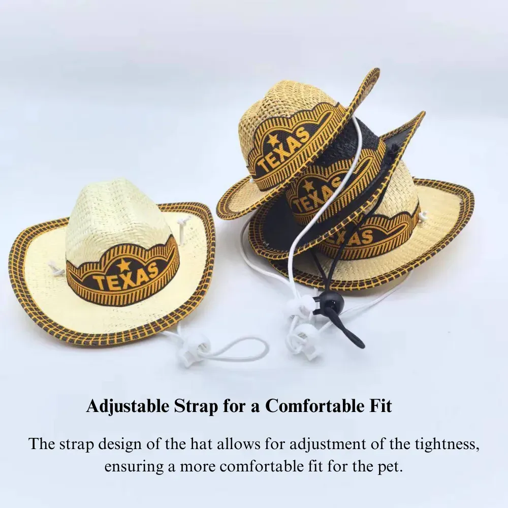 Novelty pet fashion hat