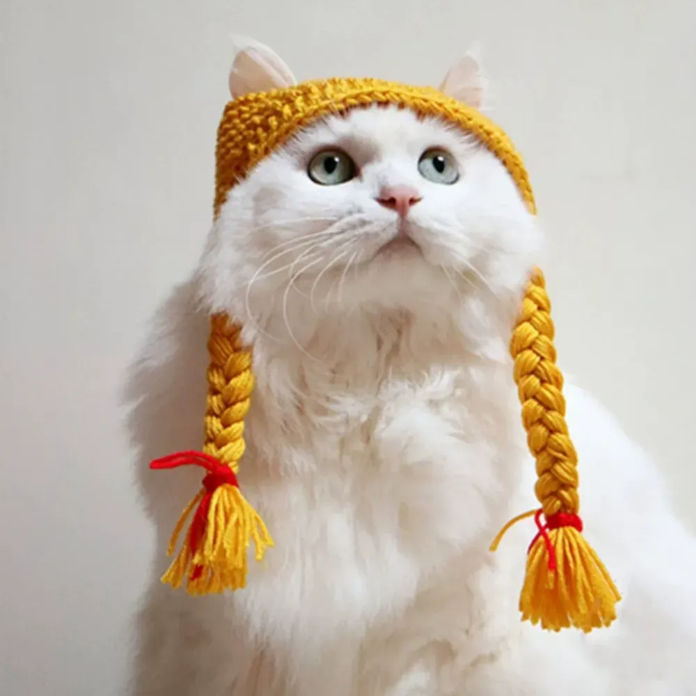 Unique pet fashion item