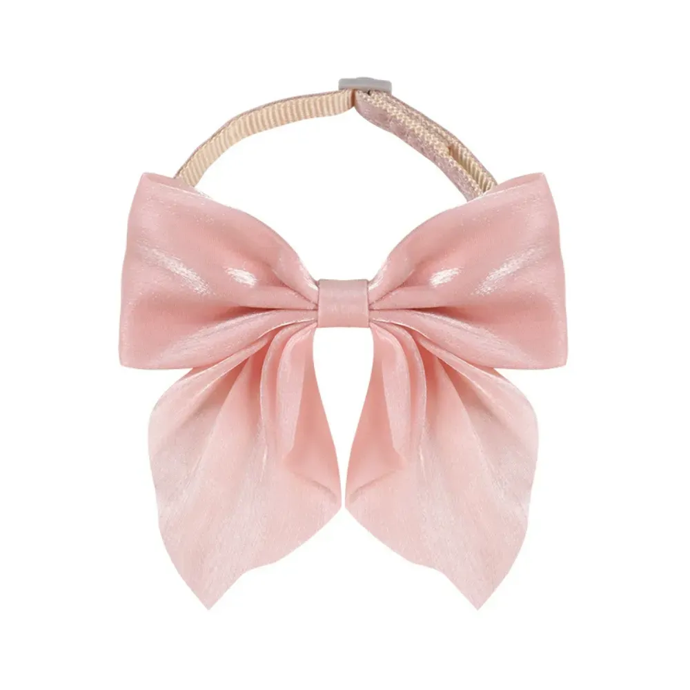 Bright pet collar