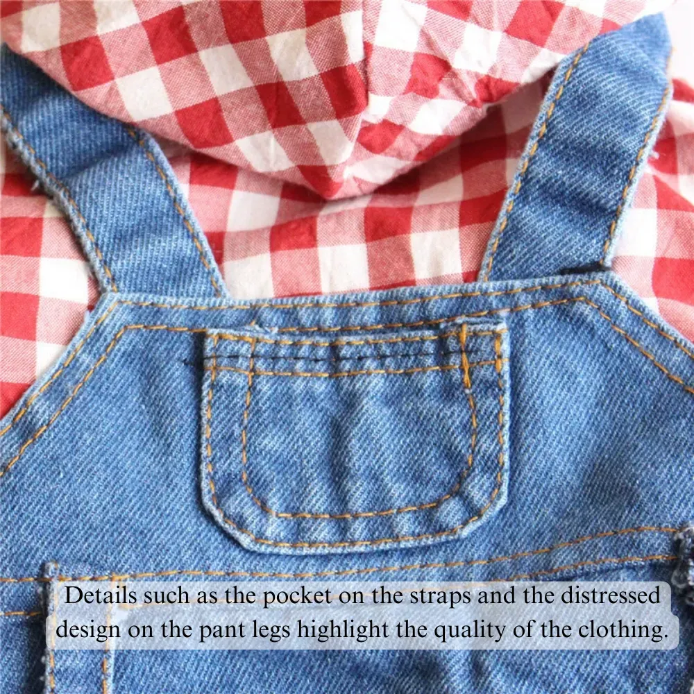 Seasonal pet clothing