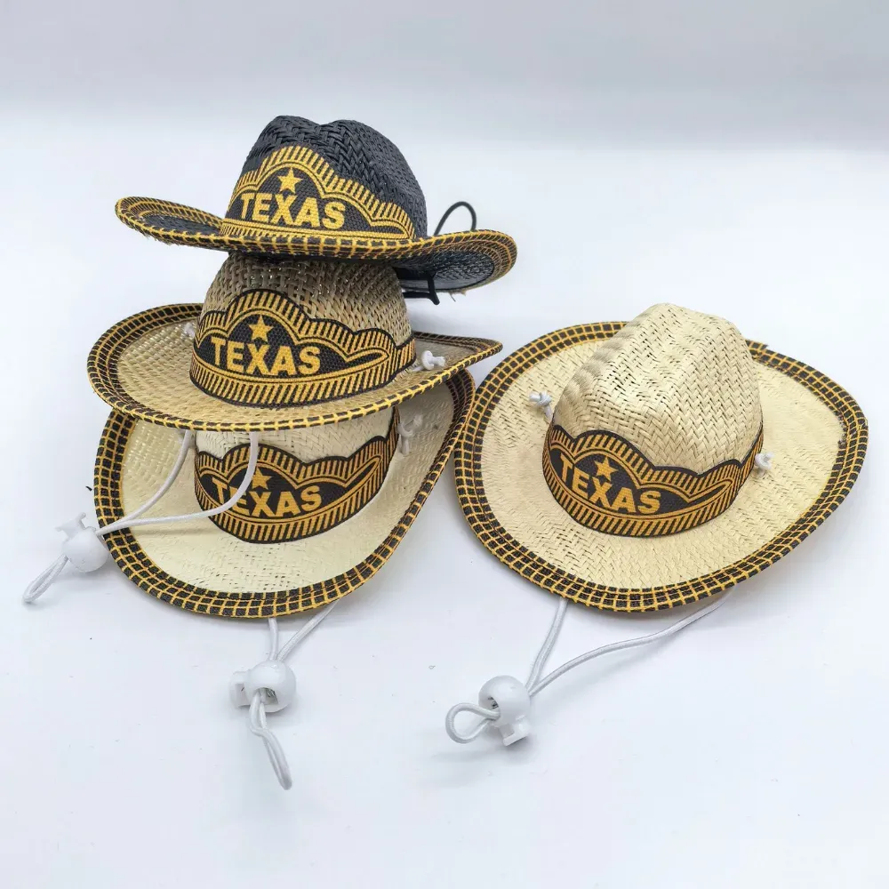 Small dog cowboy hat