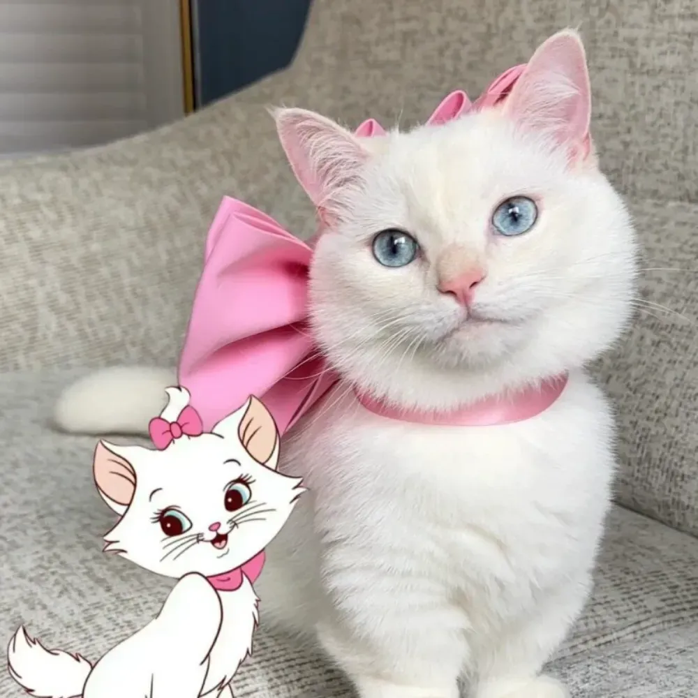 Trendy pet neckwear