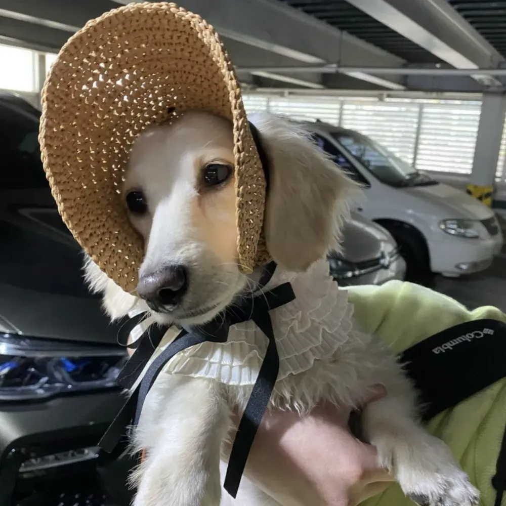 Breathable pet hat Adjustable pet headwear