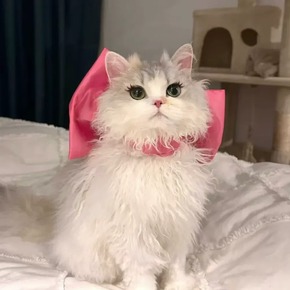 Adjustable pet bow