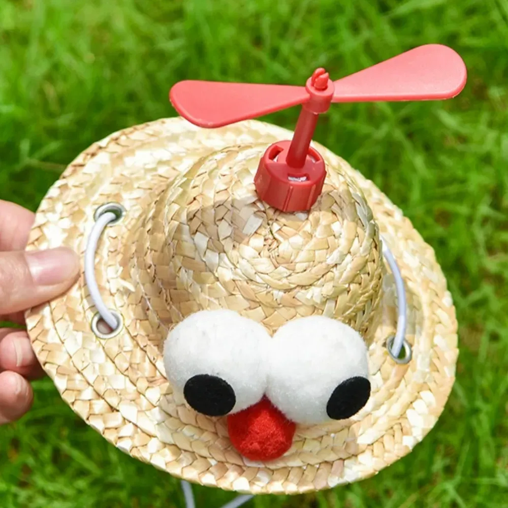 Pet travel sun protection