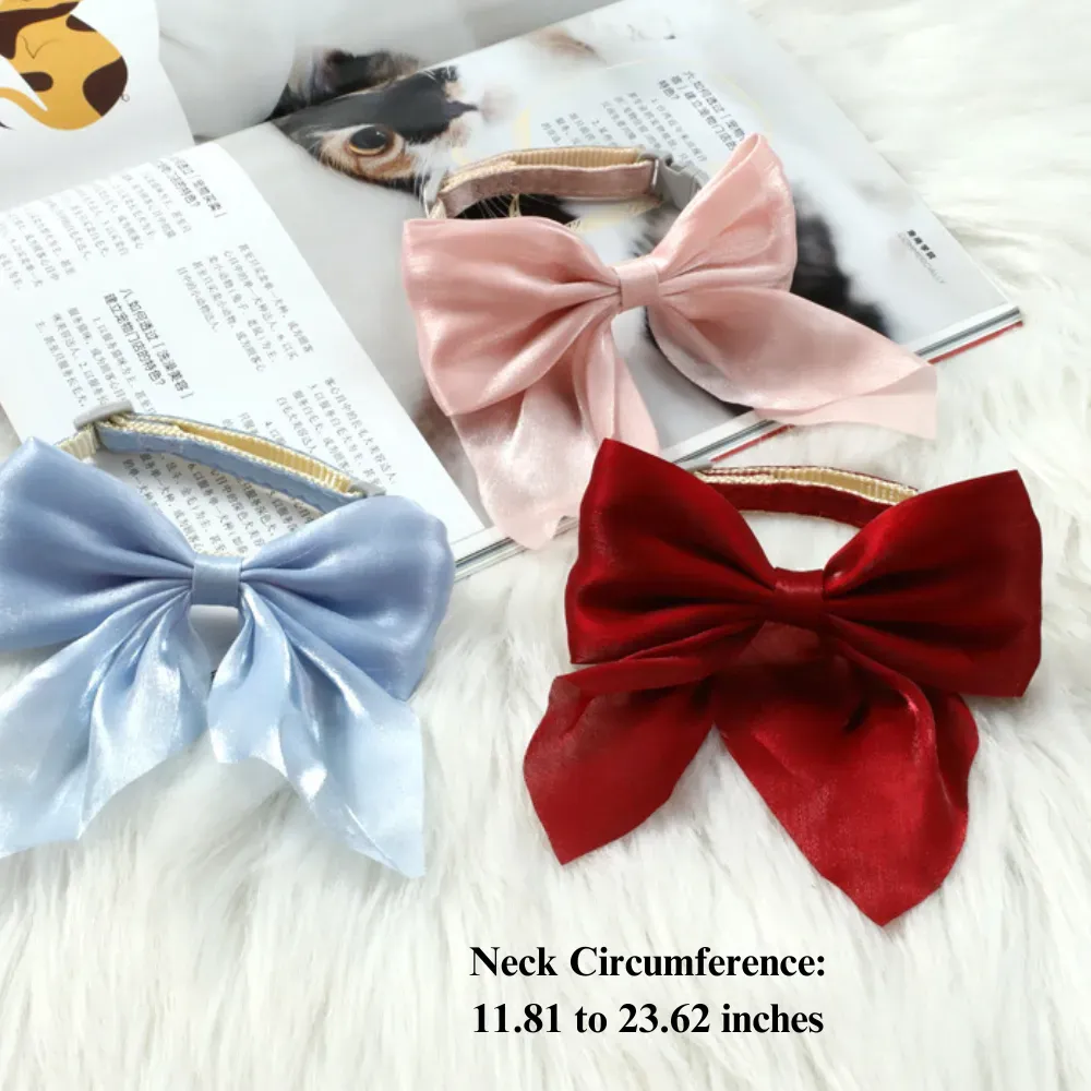 Cute pet fashion