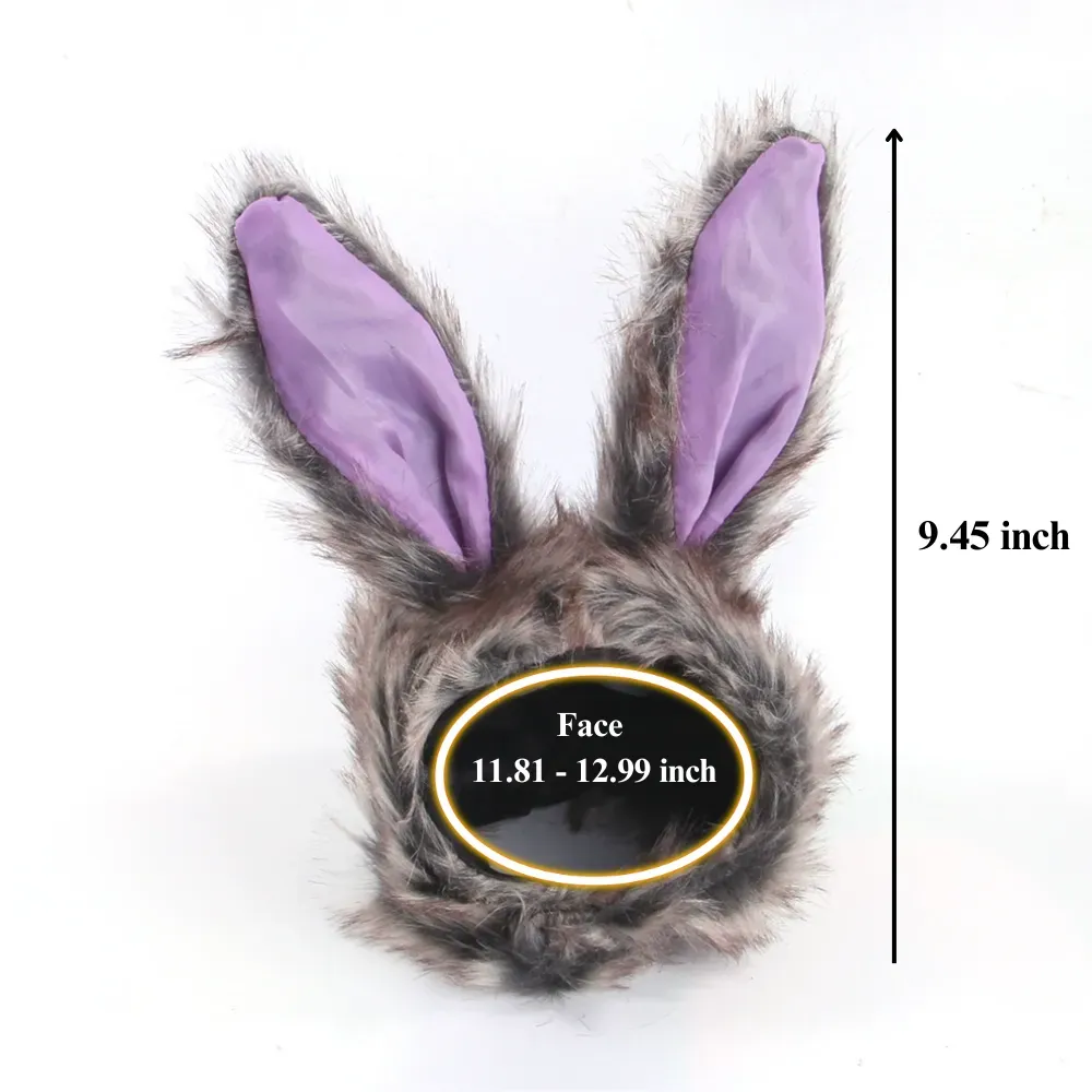 Cute pet headwear Dog and cat novelty hat
